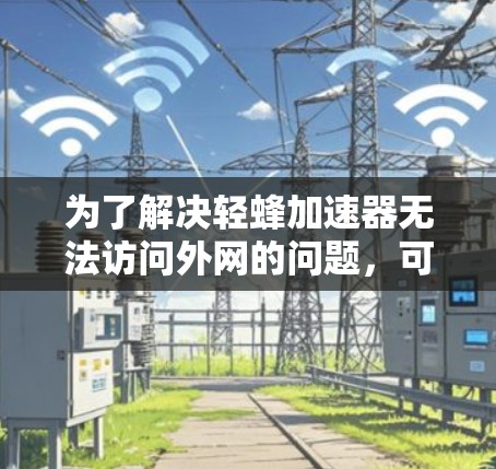 为了解决轻蜂加速器无法访问外网的问题，可以按照以下步骤进行