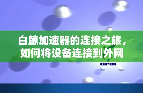 白鲸加速器的连接之旅，如何将设备连接到外网
