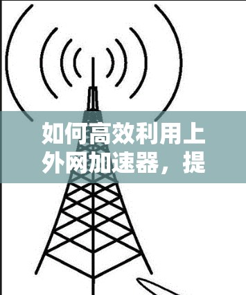 如何高效利用上外网加速器，提升网络速度的关键步骤