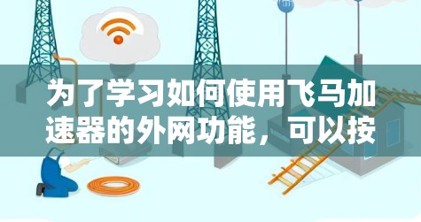 为了学习如何使用飞马加速器的外网功能，可以按照以下步骤进行