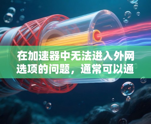 在加速器中无法进入外网选项的问题,通常可以通过以下步骤进行解决
