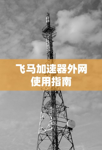 飞马加速器外网使用指南