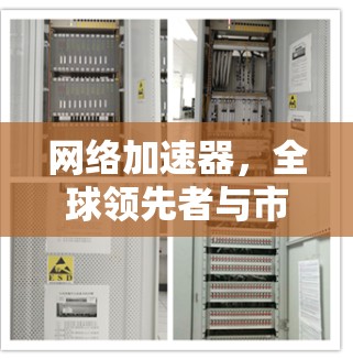 网络加速器，全球领先者与市场趋势的碰撞