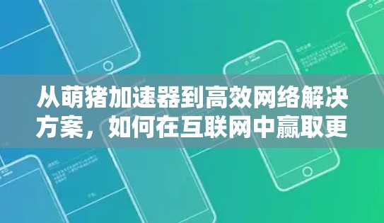 从萌猪加速器到高效网络解决方案，如何在互联网中赢取更多时间