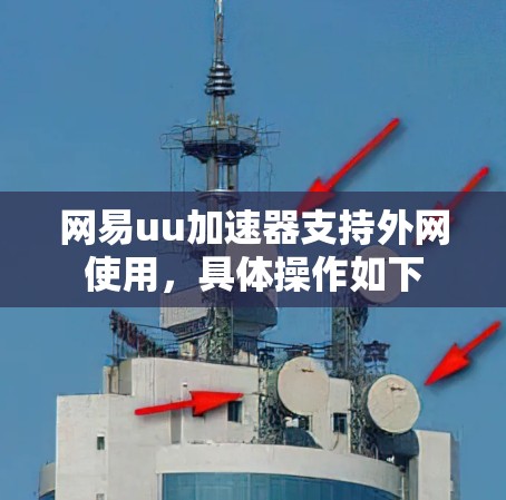 网易uu加速器支持外网使用，具体操作如下