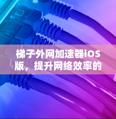 梯子外网加速器iOS版，提升网络效率的实用工具