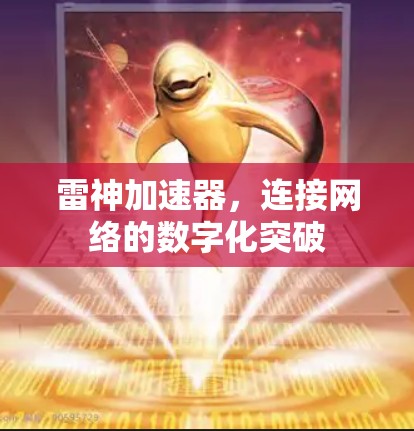 雷神加速器，连接网络的数字化突破