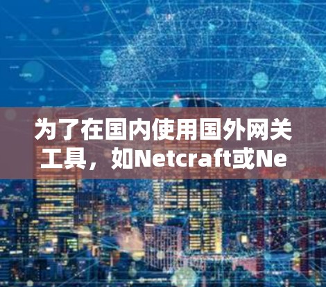 为了在国内使用国外网关工具，如Netcraft或Netmask，以下是详细的步骤和建议