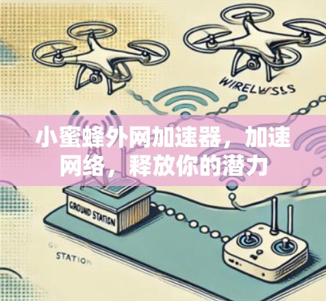 小蜜蜂外网加速器,加速网络,释放你的潜力