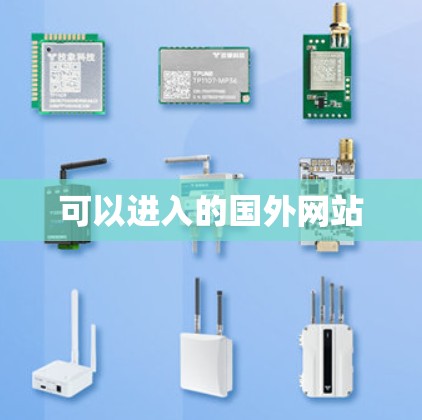 可以进入的国外网站