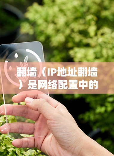 翻墙（IP地址翻墙）是网络配置中的一种技术，用于将从网（从IP地址）连接到的网络与到网（到IP地址）连接的网络进行转换。翻墙通常用于解决网络设备无法直接连接到主网的问题