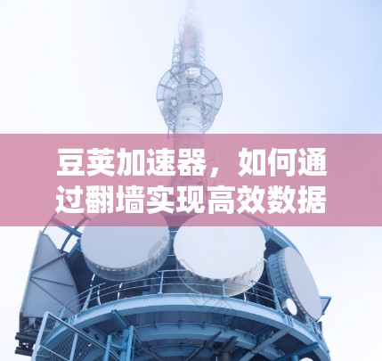 豆荚加速器，如何通过翻墙实现高效数据传输？