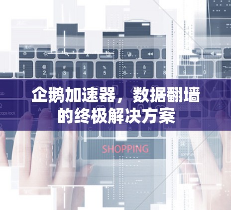 企鹅加速器，数据翻墙的终极解决方案