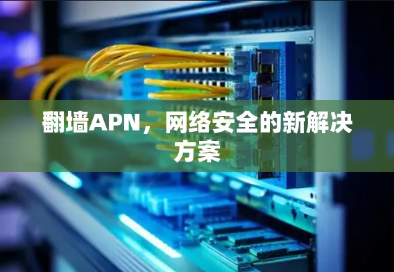 翻墙APN，网络安全的新解决方案
