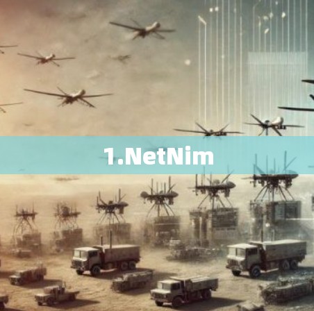 1.NetNim