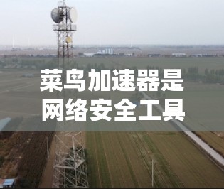 菜鸟加速器是网络安全工具，如果您需要使用翻墙功能，通常需要通过其设置来启用或禁用该功能。具体操作如下