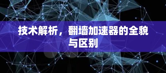 技术解析,翻墙加速器的全貌与区别