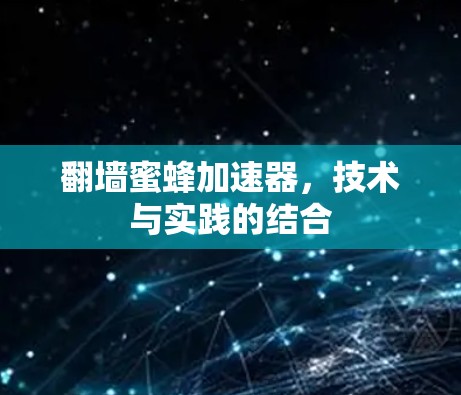 翻墙蜜蜂加速器，技术与实践的结合
