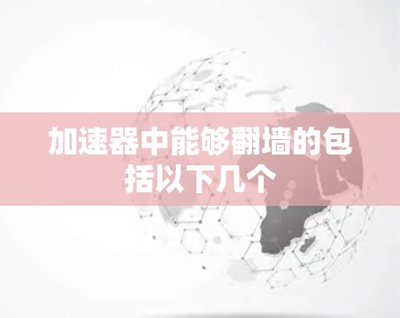 加速器中能够翻墙的包括以下几个