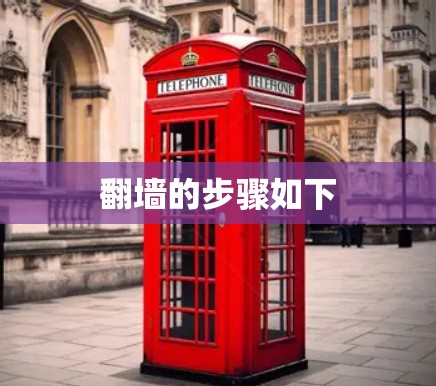 翻墙的步骤如下