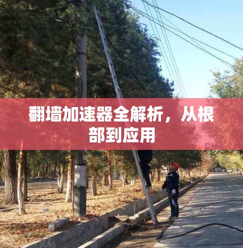 翻墙加速器全解析，从根部到应用
