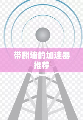 带翻墙的加速器推荐