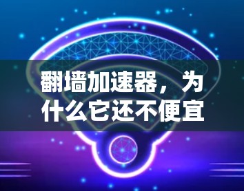 翻墙加速器，为什么它还不便宜？你的投资机会在哪里？
