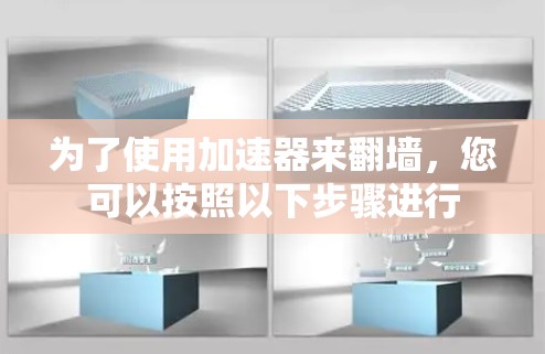 为了使用加速器来翻墙，您可以按照以下步骤进行