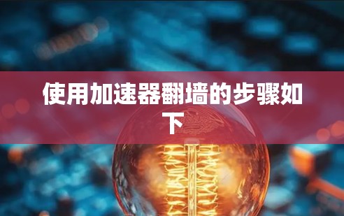 使用加速器翻墙的步骤如下