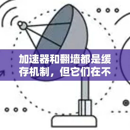 加速器和翻墙都是缓存机制，但它们在不同领域和目的下使用。以下是它们的区别和比较