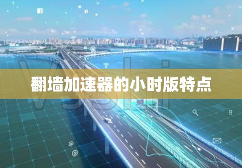 翻墙加速器的小时版特点