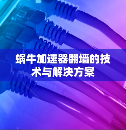 蜗牛加速器翻墙的技术与解决方案