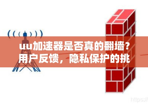 uu加速器是否真的翻墙？用户反馈，隐私保护的挑战