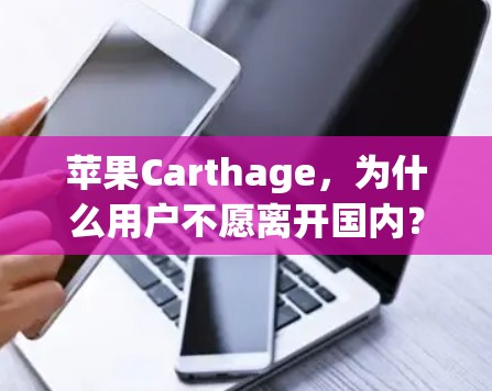 苹果Carthage，为什么用户不愿离开国内？翻墙的魅力与现实挑战