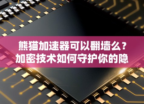 熊猫加速器可以翻墙么?加密技术如何守护你的隐私
