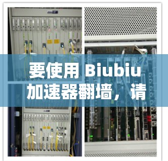 要使用 Biubiu 加速器翻墙，请按照以下步骤操作