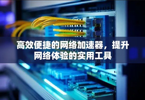 高效便捷的网络加速器，提升网络体验的实用工具