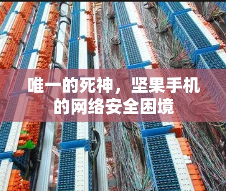 唯一的死神，坚果手机的网络安全困境