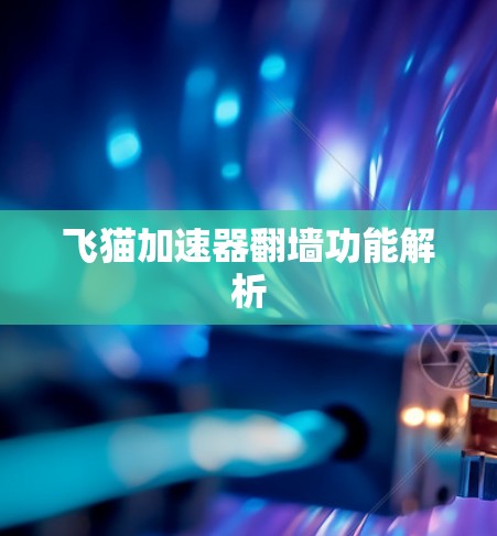 飞猫加速器翻墙功能解析