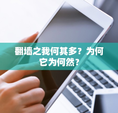 翻墙之我何其多？为何它为何然？