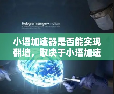 小语加速器是否能实现翻墙,取决于小语加速器的设置和功能。以下是对小语加速器翻墙能力的详细分析