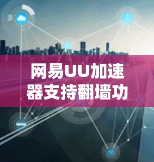 网易UU加速器支持翻墙功能，通常包括解密和翻墙。具体步骤如下