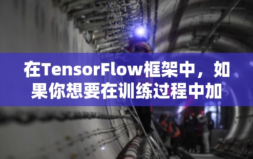 在TensorFlow框架中，如果你想要在训练过程中加速速度，可以考虑使用加速器工具。以下是一些常用的加速器工具和推荐