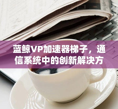 蓝鲸VP加速器梯子，通信系统中的创新解决方案