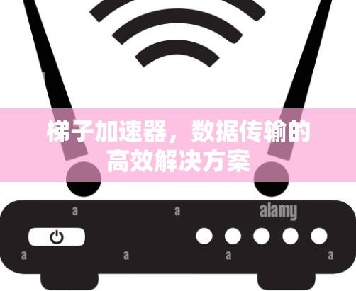 梯子加速器，数据传输的高效解决方案