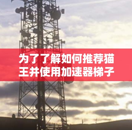 为了了解如何推荐猫王并使用加速器梯子，以下是分步指南