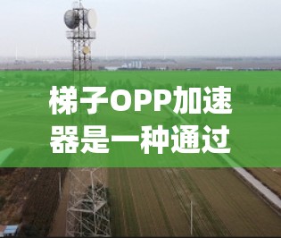 梯子OPP加速器是一种通过设置软件来优化梯子运行速度的工具。它通常由OPP（OptiP）公司提供，主要用于提升梯子的性能。以下是关于OPP加速器的详细步骤及使用说明