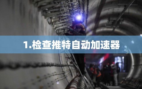 1.检查推特自动加速器