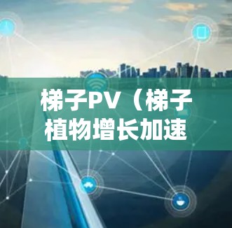 梯子PV（梯子植物增长加速器）是一种利用梯子棒结构设计的装置，通过倾斜和调整来加速植物的生长。以下是其工作原理的详细说明
