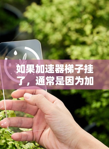 如果加速器梯子挂了，通常是因为加速器软件无法正确加载或管理梯子插件。以下是解决此类问题的步骤